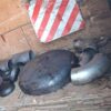 Заглушка эллиптическая Ду21,3х2мм сталь 09Г2С исполнение 1 ГОСТ 17379-2001